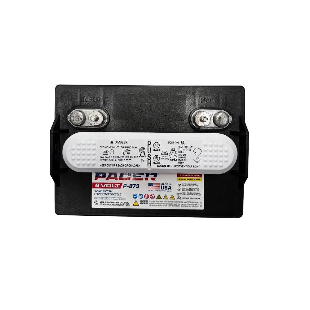 (Set of 2) Pacer P-875 8 Volt 165Ah Golf Cart, Solar, Marine, RV, and Industrial Use Deep Cycle Battery - Compatible with T-875 | T875