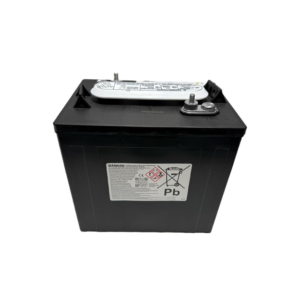 (Set of 2) Pacer P-875 8 Volt 165Ah Golf Cart, Solar, Marine, RV, and Industrial Use Deep Cycle Battery - Compatible with T-875 | T875