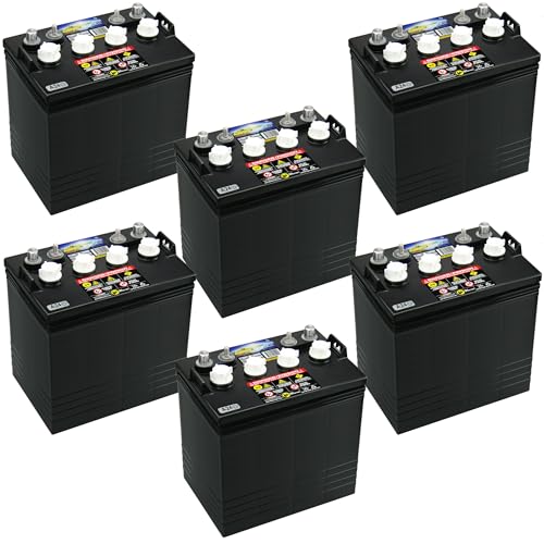 Crown CR-165 Replacement Battery for Trojan T875 8 Volt, 165 AH Deep Cycle Battery x6