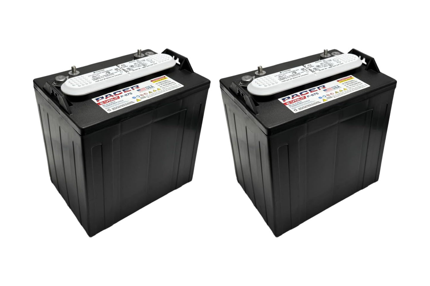 (Set of 2) Pacer P-875 8 Volt 165Ah Golf Cart, Solar, Marine, RV, and Industrial Use Deep Cycle Battery - Compatible with T-875 | T875
