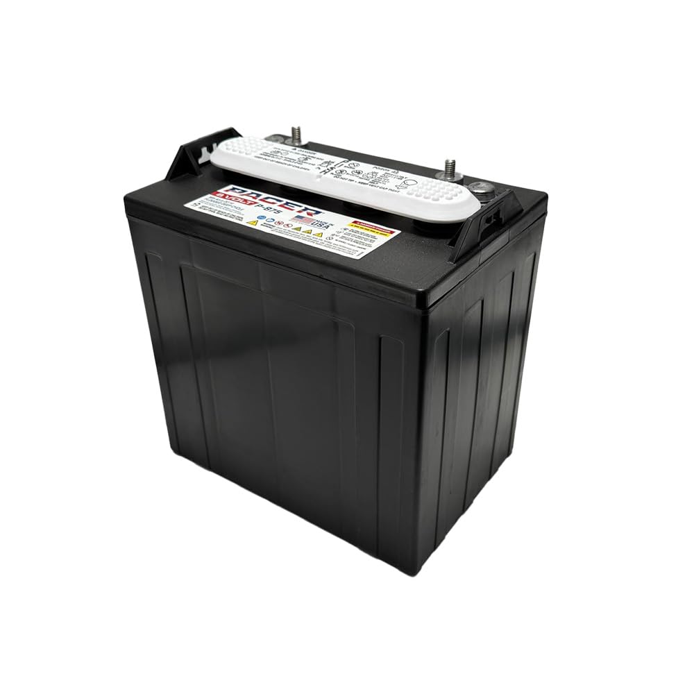 (Set of 2) Pacer P-875 8 Volt 165Ah Golf Cart, Solar, Marine, RV, and Industrial Use Deep Cycle Battery - Compatible with T-875 | T875