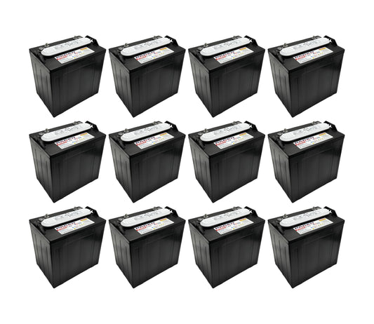(Set of 12) Pacer P-875 8 Volt 165Ah Golf Cart, Solar, Marine, RV, and Industrial Use Deep Cycle Battery - Compatible With T-875 | T875