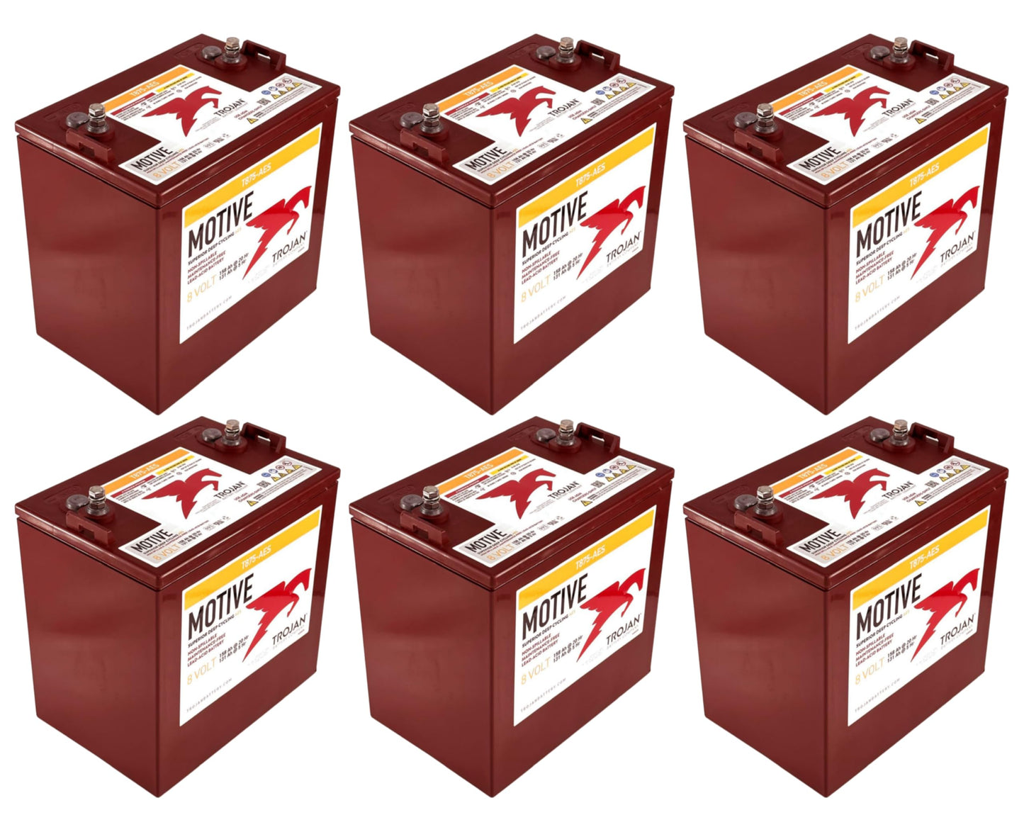 Trojan T875-AES 8V 158Ah VRLA AGM Battery (Set of 6)