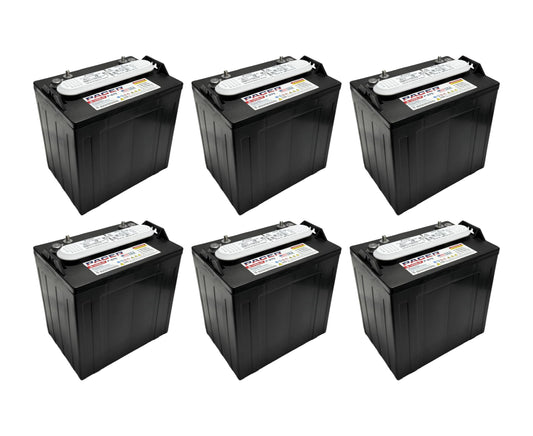 (Set of 6) Pacer P-875 8 Volt 165Ah Golf Cart, Solar, Marine, RV, and Industrial Use Deep Cycle Battery - Compatible with T-875 | T875