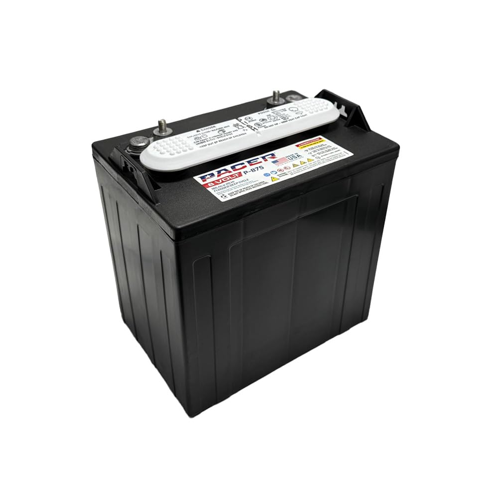(Set of 8) Pacer P-875 8 Volt 165Ah Golf Cart, Solar, Marine, RV, and Industrial Use Deep Cycle Battery - Compatible with T-875 | T875