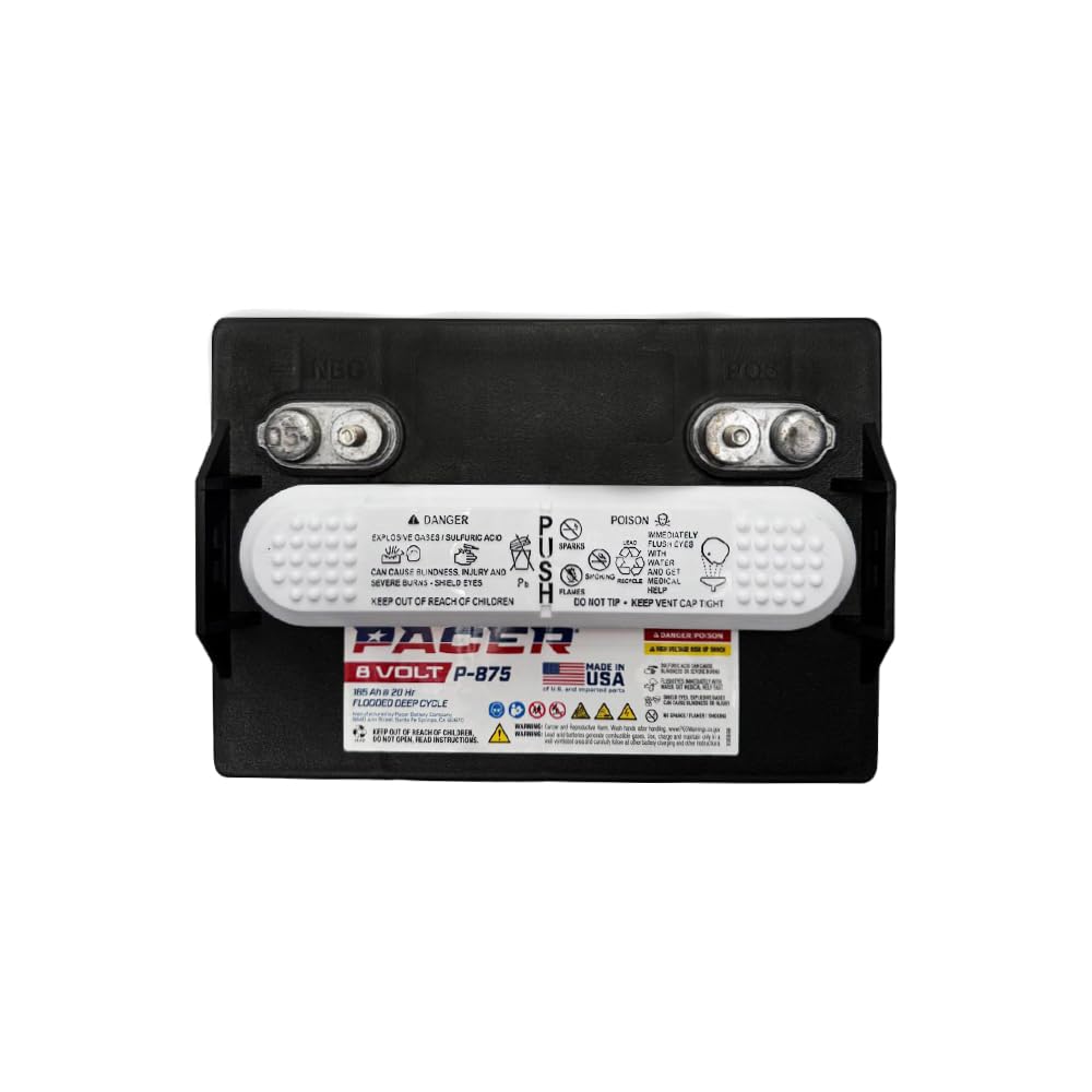 (Set of 6) Pacer P-875 8 Volt 165Ah Golf Cart, Solar, Marine, RV, and Industrial Use Deep Cycle Battery - Compatible with T-875 | T875