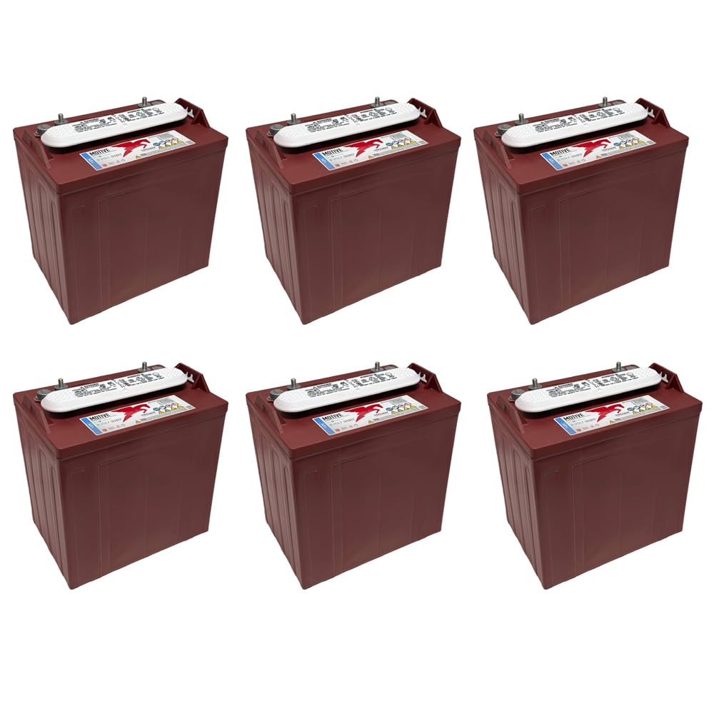 Trojan T875 8 Volt, 170 AH Deep Cycle Battery (Pack of 6)