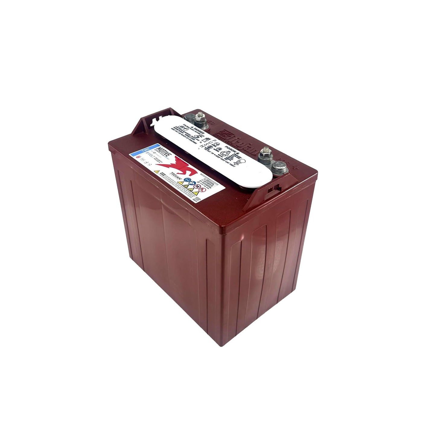 Trojan T-890 Deep Cycle 8V Battery X6