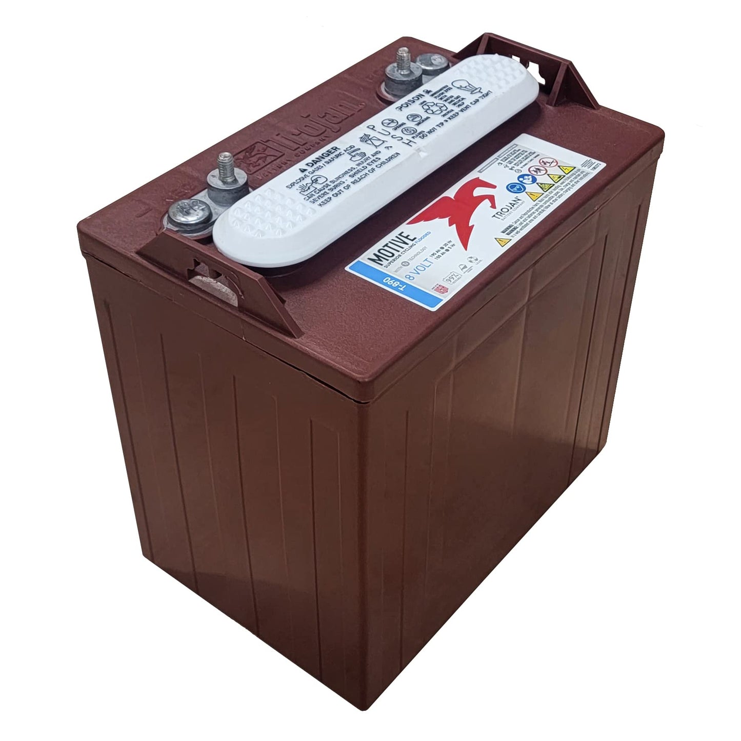 Trojan T-890 Deep Cycle 8V Battery X2