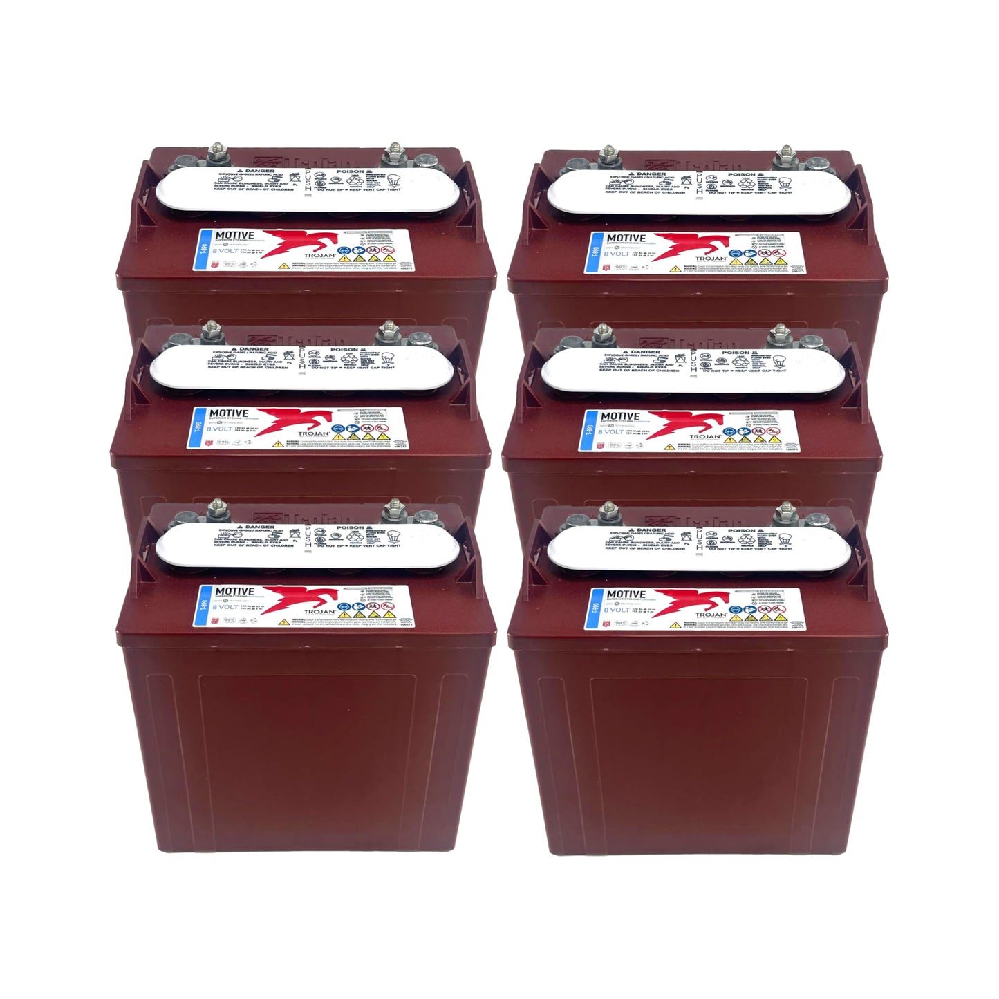 Trojan T-890 Deep Cycle 8V Battery X6